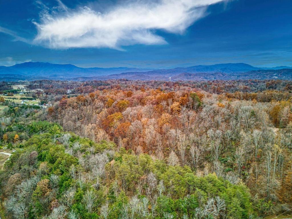 Bridgewood Cabin, Hot Tub, 1089 Of Free Attraction Tickets For Each Paid Day, Dollywood And More! Pigeon Forge Exteriér fotografie