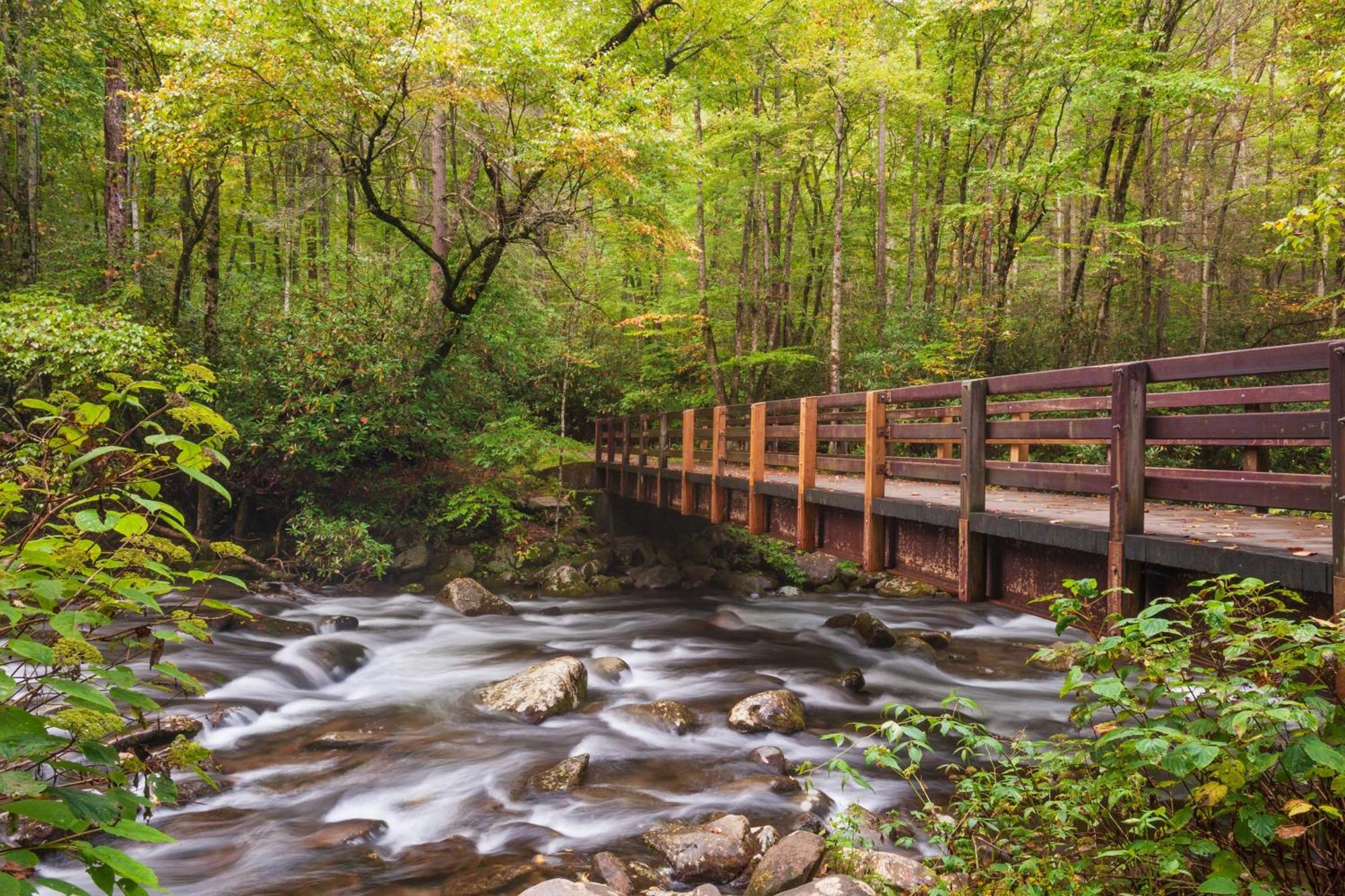 Bridgewood Cabin, Hot Tub, 1089 Of Free Attraction Tickets For Each Paid Day, Dollywood And More! Pigeon Forge Exteriér fotografie